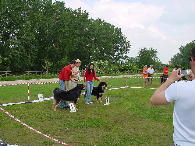 Immagine 048.jpg